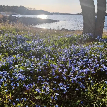 Majoitu Saaressa Nauvon Ulkosaaristossa *