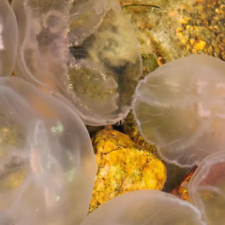 Дом отдыха Majoitu Saaressa Nauvon Ulkosaaristossa *