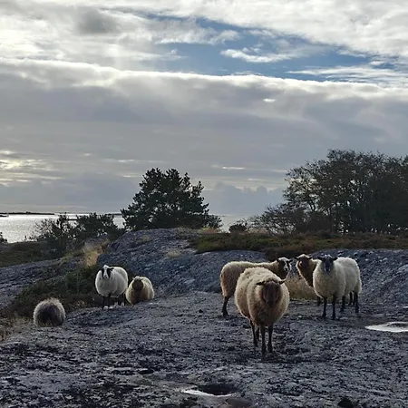 Majoitu Saaressa Nauvon Ulkosaaristossa *