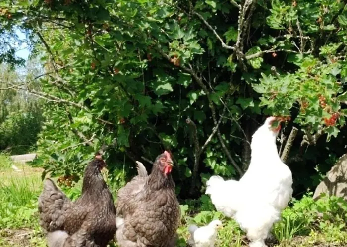 Majoitu Saaressa Nauvon Ulkosaaristossa *