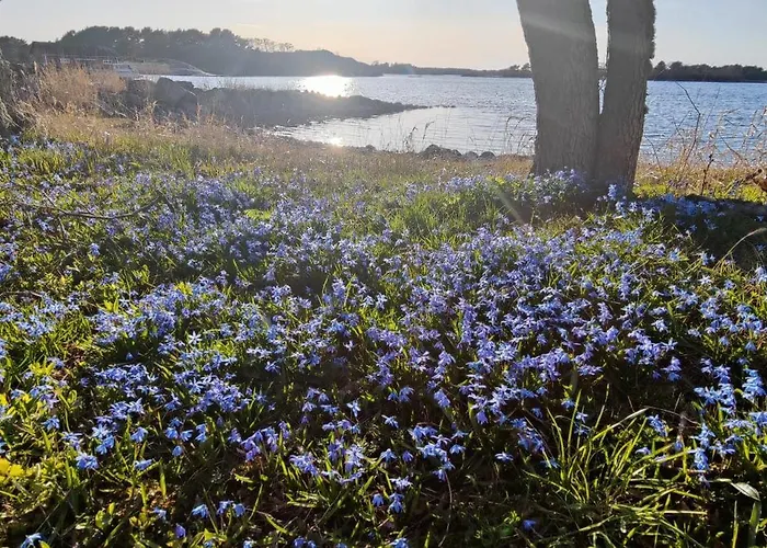 Majoitu Saaressa Nauvon Ulkosaaristossa *