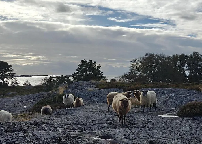 Majoitu Saaressa Nauvon Ulkosaaristossa *